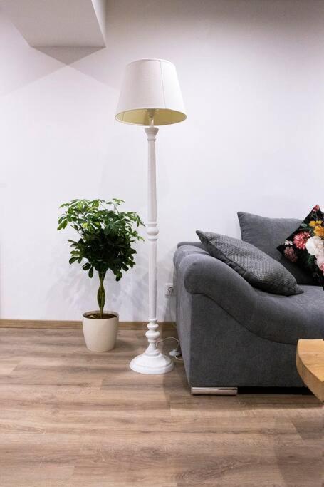 Le Logis D'Alsace, Wifi,Tv,Parking,70 M2 Lägenhet Ettendorf Exteriör bild